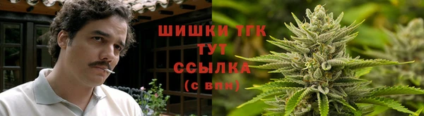 mdpv Белокуриха