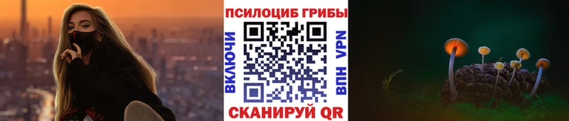 Псилоцибиновые грибы ЛСД  Купить где  Балтийск 