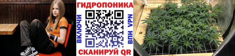 Купить где  Балтийск  МАРИХУАНА гибрид 